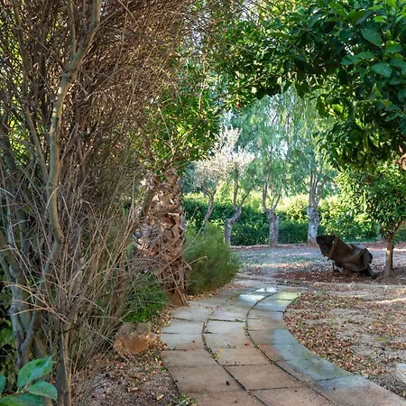 Casal Del Borgo-2